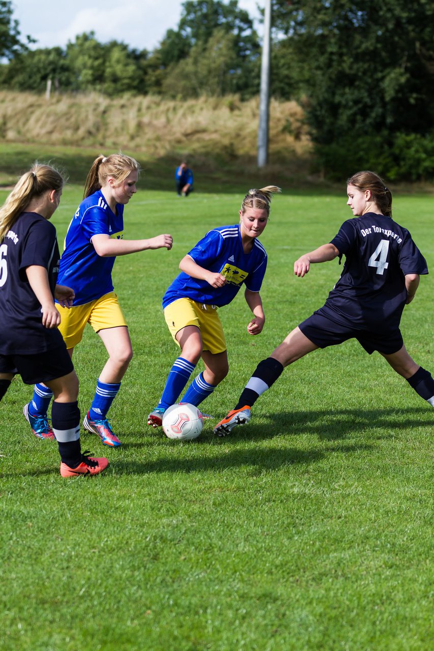 Bild 395 - Frauen TSV Gnutz - SG Slfeld/Oe/Se/Stu : Ergebnis: 2:3